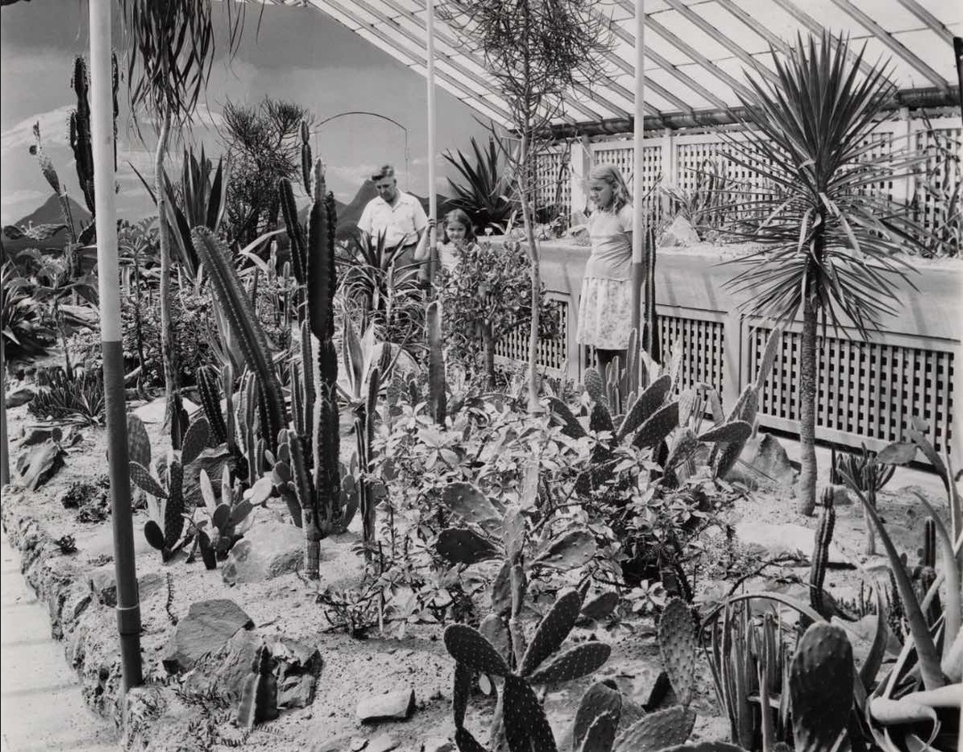 Historic Cleveland greenhouse