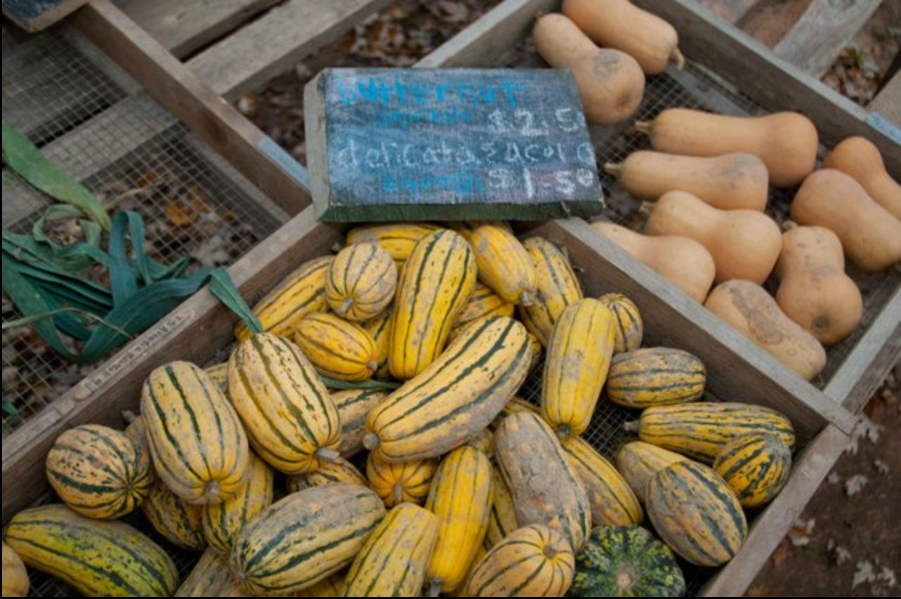 Fresh produce arranged after harvest